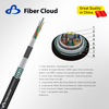 Stranded Loose Tube Semi-dry ArmoredCable(GYFY53) Fiber Optic Cable