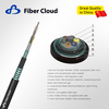 Anti-rodent Armored Cable(GYTS53) Fiber Optic Cable