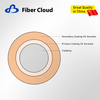 Plastic-clad Large-Core Fiber