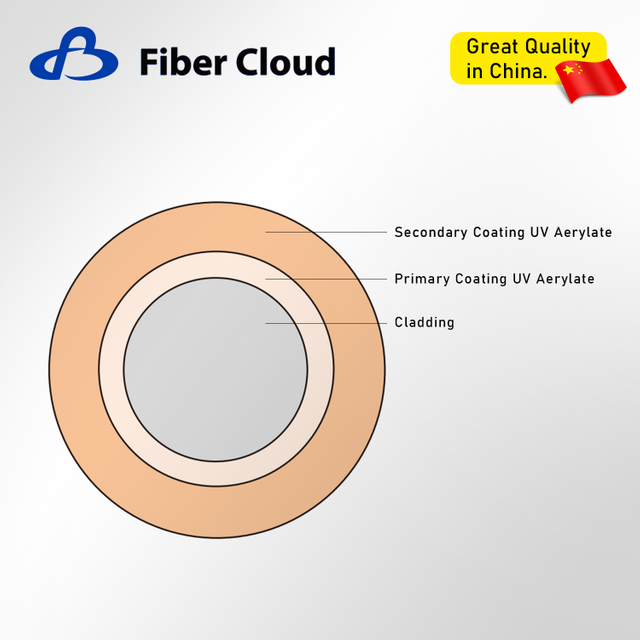 Plastic-clad Large-Core Fiber