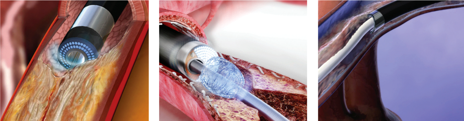 微信图片_2026-02-06_142124_590