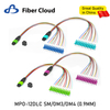 MPO-LC 12f Harness 0.9mm Sm/Om3/Om4 Fiber Patch Cord Optical Jumper Cable
