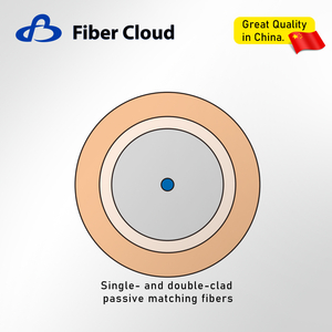 Passive matching fiber