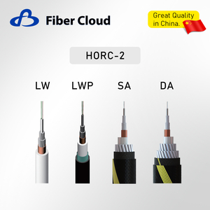 Submarine Double Steel Wire Armored Underwater Fiber Optic Cable Unrepeatered Submarine Optical Fiber Cable Armor Internet Cable