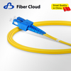 2.0mm LC/UPC to SC/UPC Duplex OS2 Single Mode Ofnr Tight Buffered Fiber Optic Patch Cord