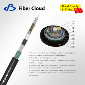 Stranded Loose Tube Non-metallic StrengthMember Armored Cable (GYFTA53) Fiber Optic Cable