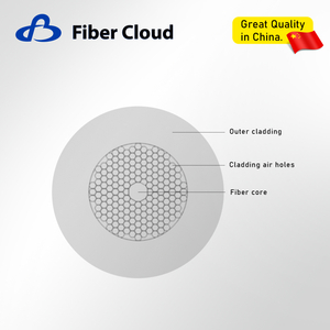 Hollow-core photonic bandgap fiber