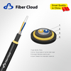Stainless Steel Flexible Hose Armored Cable(GJFJKH) Fiber Optic Cable