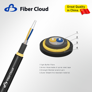Stainless Steel Flexible Hose Armored Cable(GJFJKH) Fiber Optic Cable