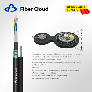 Armored Self-supporting Figure 8 Cable (GYFC8Y53) Fiber Optic Cable