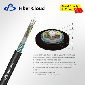 Stranded Loose Tube Non-metallic StrengthMember Light-armored Cable (GYFTS) Fiber Optic Cable