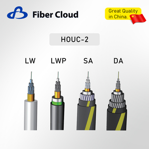 Submarine Double Steel Wire Armored Underwater Fiber Optic Cable Unrepeatered Submarine Optical Fiber Cable Armor Internet Cable